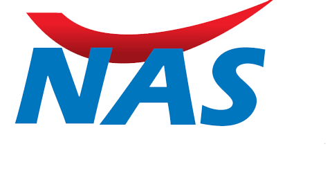 NAS-insurance copy
